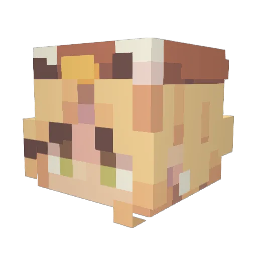 mellajh Minecraft avatar head, 3D render