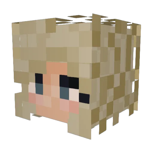 mellart Minecraft avatar head, 3D render