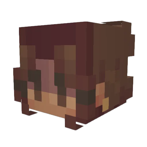mellilie Minecraft avatar head, 3D render