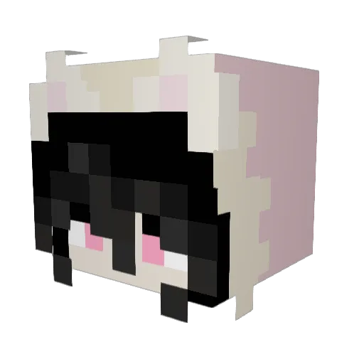 mellocatt Minecraft avatar head, 3D render