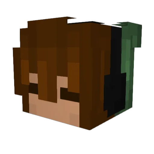 mellondreams Minecraft avatar head, 3D render
