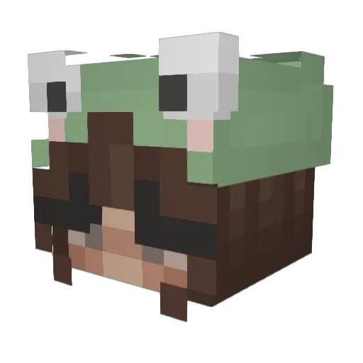 mellowluv67 Minecraft avatar head, 3D render