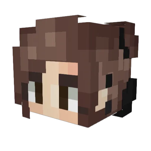mellowmich Minecraft avatar head, 3D render