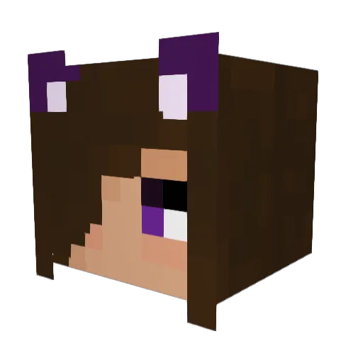 mellowvirgil Minecraft avatar head, 3D render