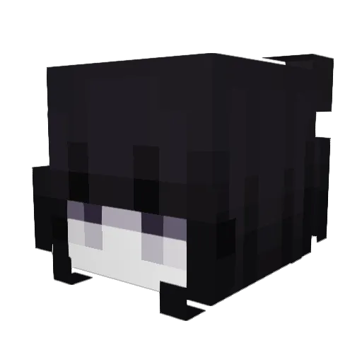mellxoo Minecraft avatar head, 3D render