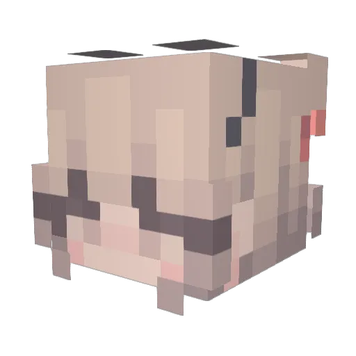 melochie Minecraft avatar head, 3D render