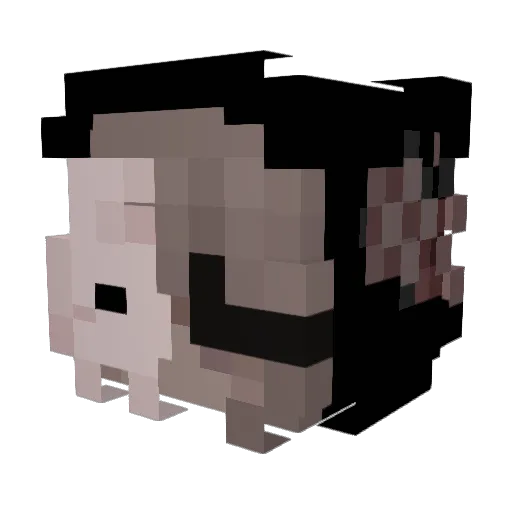 melogyny Minecraft avatar head, 3D render