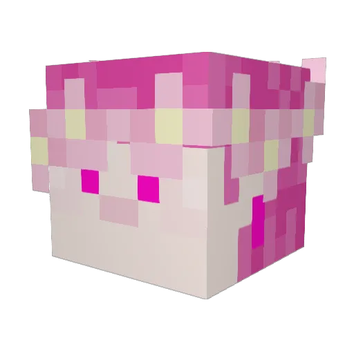 meloicy Minecraft avatar head, 3D render