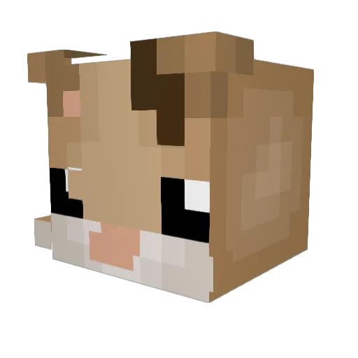 melon_coconut Minecraft avatar head, 3D render
