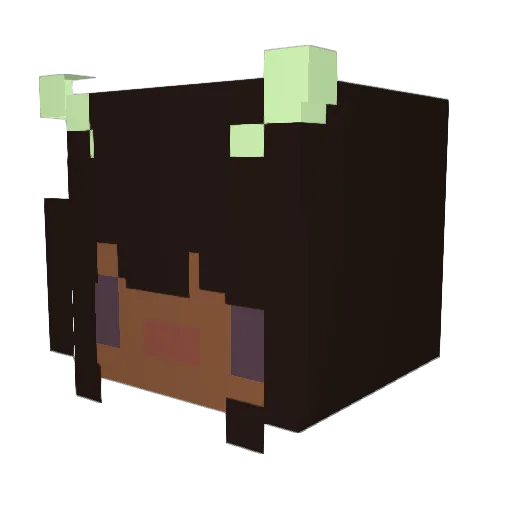 meloncholyfruits Minecraft avatar head, 3D render