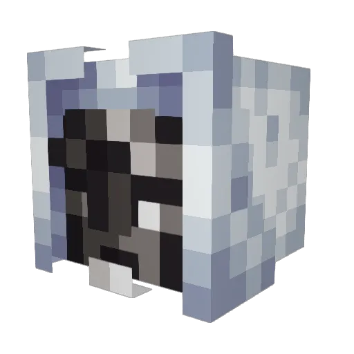 meloncool Minecraft avatar head, 3D render