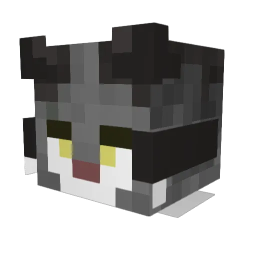 melonek21 Minecraft avatar head, 3D render