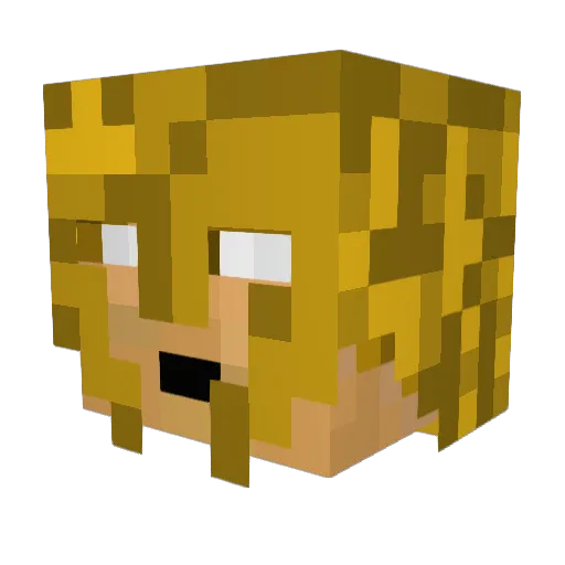 melonhead21 Minecraft avatar head, 3D render