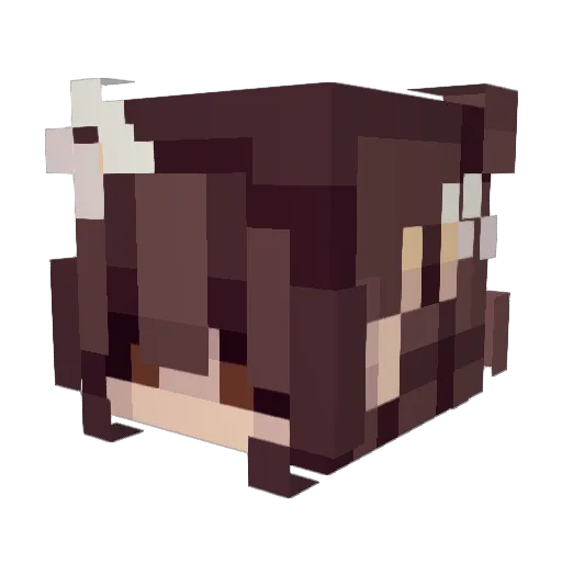 melonmuncher448 Minecraft avatar head, 3D render