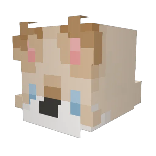 melonpelt Minecraft avatar head, 3D render