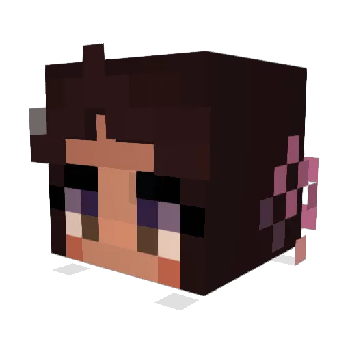 melowy Minecraft avatar head, 3D render