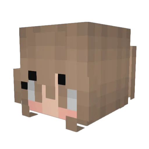 melrune Minecraft avatar head, 3D render