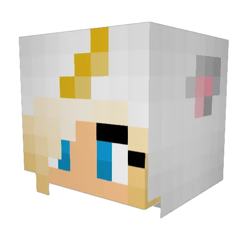 meltonclimberrr Minecraft avatar head, 3D render