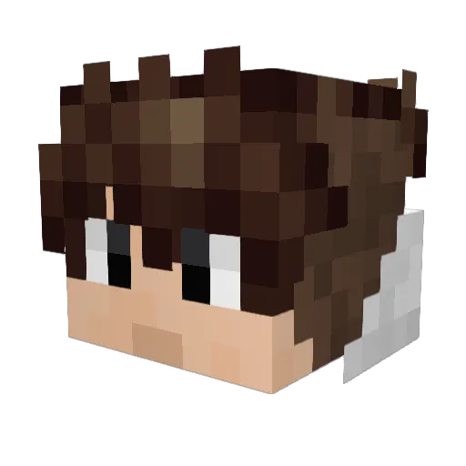 melvingamerNL Minecraft avatar head, 3D render