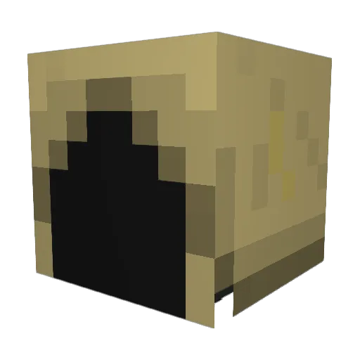 memberskater Minecraft avatar head, 3D render