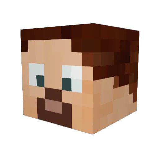 meme2565 Minecraft avatar head, 3D render