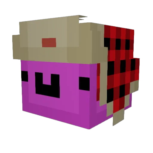 meme_coinsurer69 Minecraft avatar head, 3D render