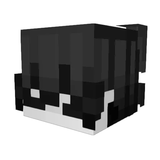 meme_life_w Minecraft avatar head, 3D render
