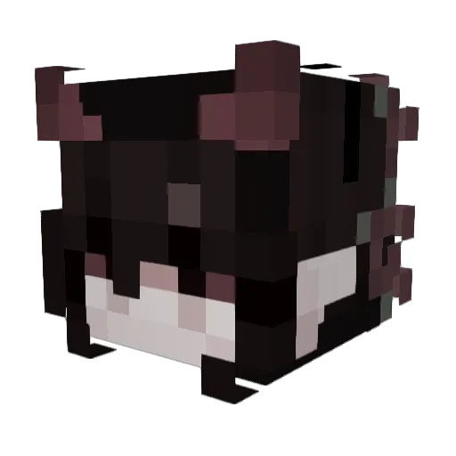 memegod2323 Minecraft avatar head, 3D render