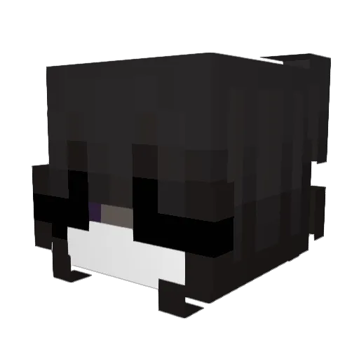 mememing Minecraft avatar head, 3D render