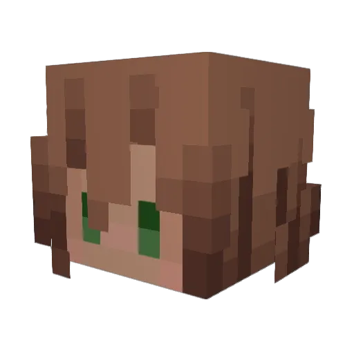 memento_caedis Minecraft avatar head, 3D render