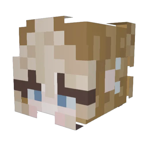 memequeen421 Minecraft avatar head, 3D render
