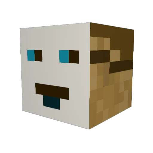memer11 Minecraft avatar head, 3D render