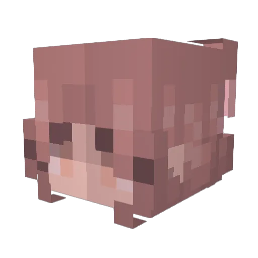 memezavs Minecraft avatar head, 3D render