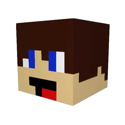memo07_8 Minecraft avatar head, 3D render