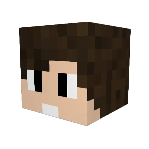 meneernick1 Minecraft avatar head, 3D render