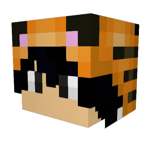 meng3379 Minecraft avatar head, 3D render