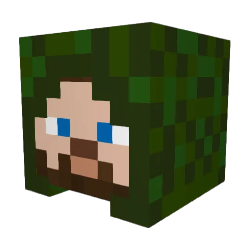 menicou Minecraft avatar head, 3D render