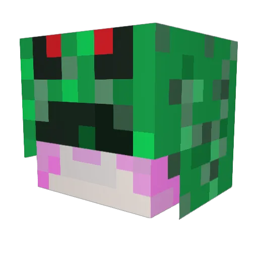 meong9 Minecraft avatar head, 3D render