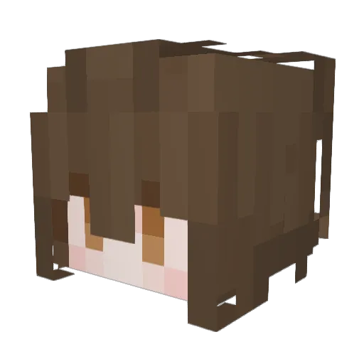 meooooowww Minecraft avatar head, 3D render