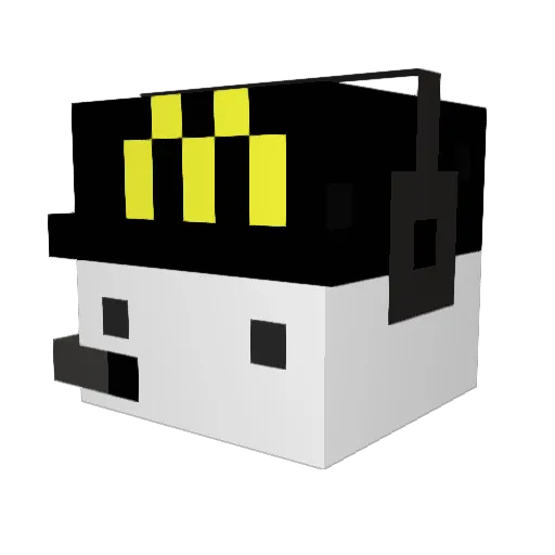 meow521 Minecraft avatar head, 3D render