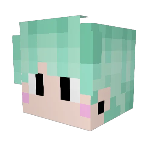 meowD309 Minecraft avatar head, 3D render
