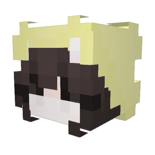meow_kittyy Minecraft avatar head, 3D render