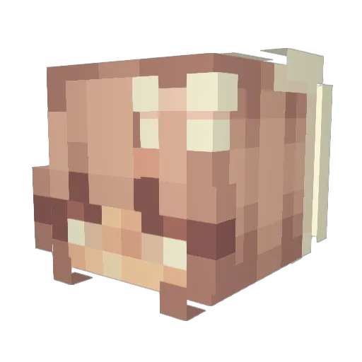meowcaw Minecraft avatar head, 3D render