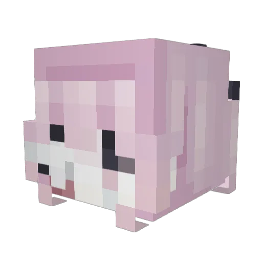 meowcissism Minecraft avatar head, 3D render