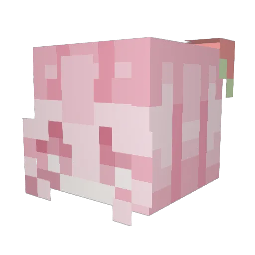 meowdy_ Minecraft avatar head, 3D render