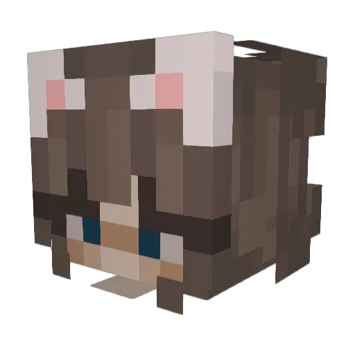meowellex Minecraft avatar head, 3D render