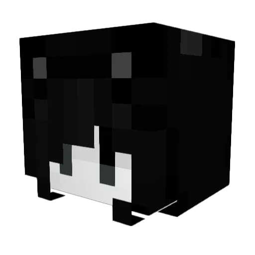 meowfey Minecraft avatar head, 3D render