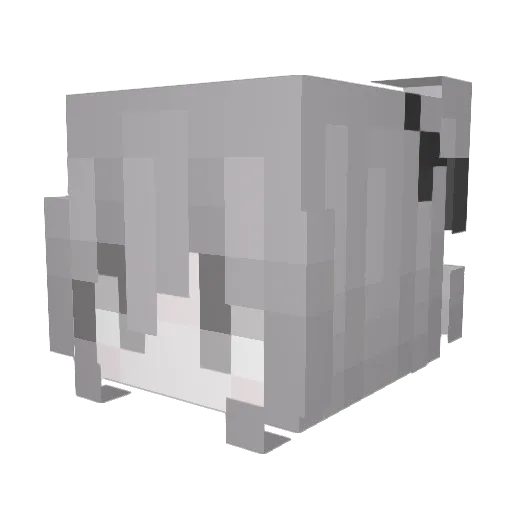 meowfluffy Minecraft avatar head, 3D render