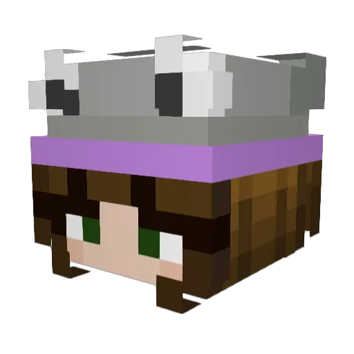meowfrank Minecraft avatar head, 3D render