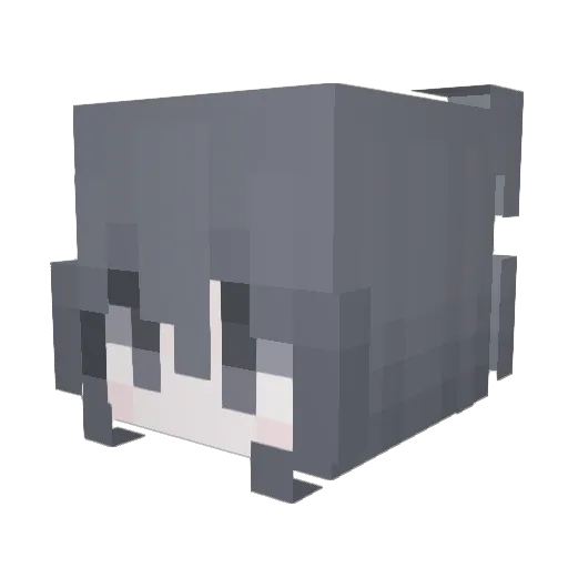 meowfrfrfrfrfrfr Minecraft avatar head, 3D render